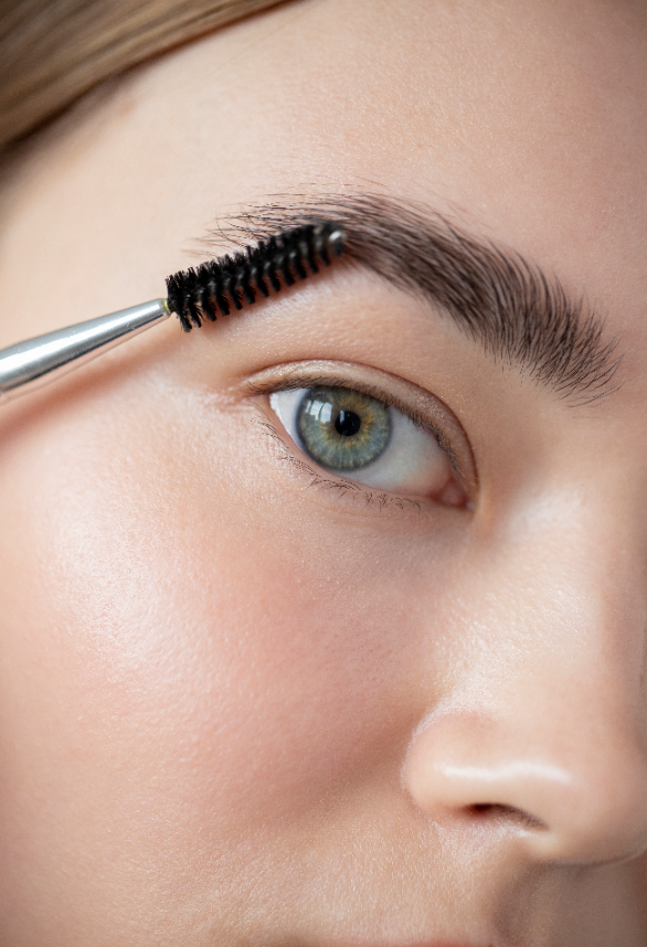 Cejas
